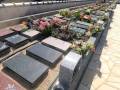 jpeg-optimizer_20250421-2