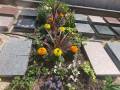 jpeg-optimizer_20250421-15